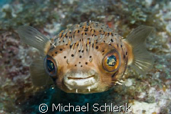 Don't worry....be happy! by Michael Schlenk 